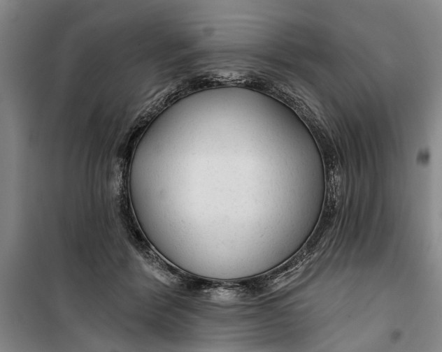 X0000099420412200805301411