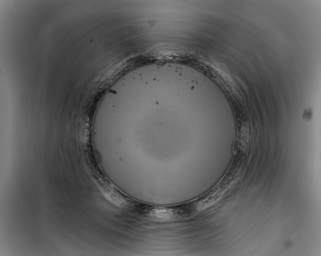 X0000099420413200805301411