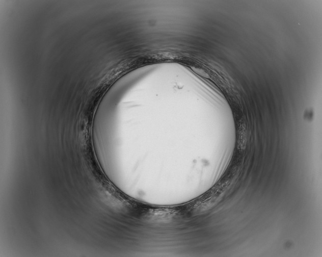 X0000099420414200805301411