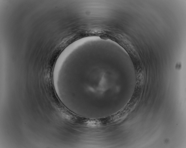 X0000099420415200805301411