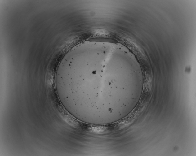 X0000099420417200805301411