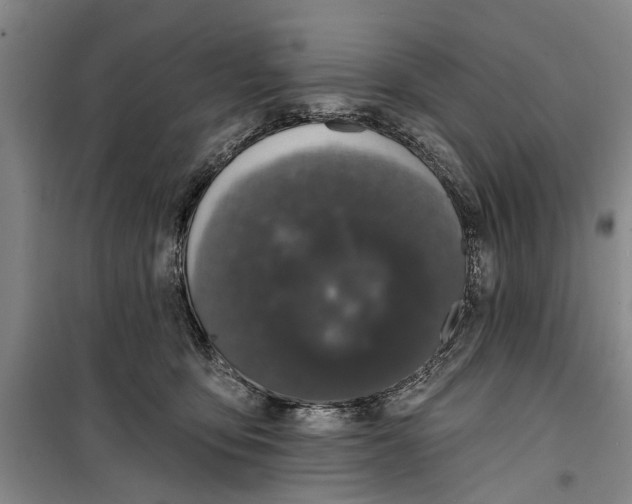 X0000099420419200805301411