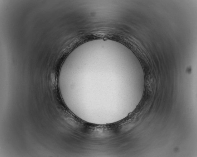 X0000099420420200805301411