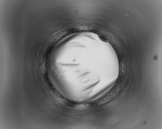 X0000099420422200805301411