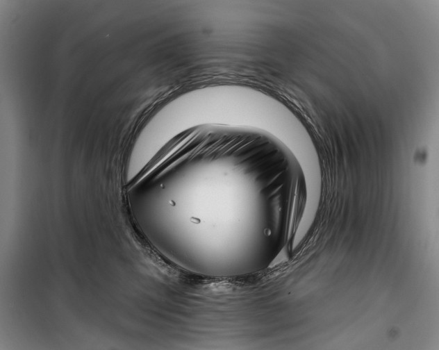 X0000099420423200805301411