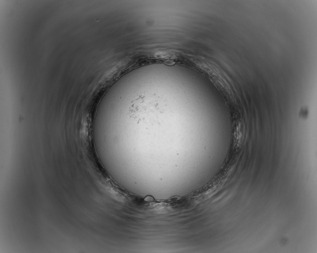 X0000099420424200805301411