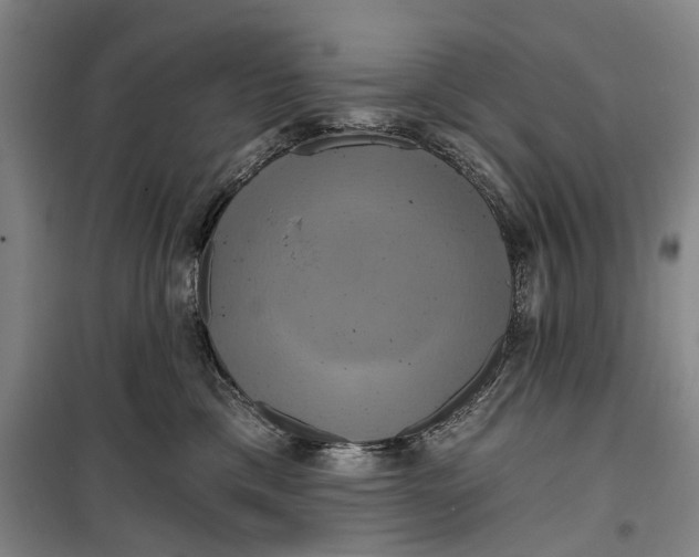 X0000099420425200805301411