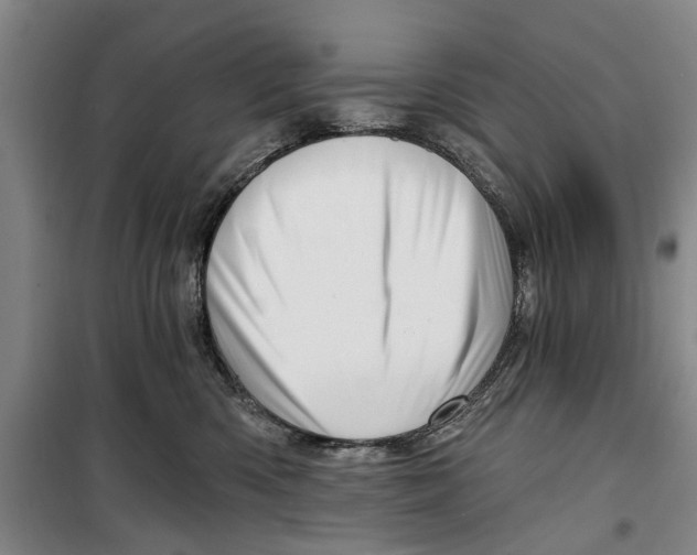 X0000099420426200805301411