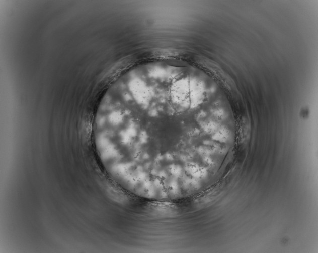 X0000099420427200805301411