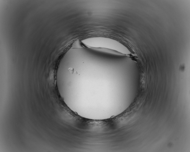 X0000099420428200805301411