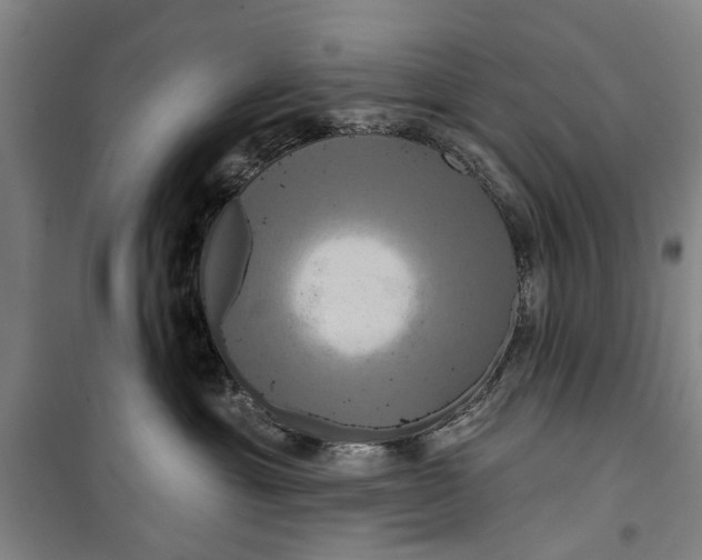 X0000099420429200805301411