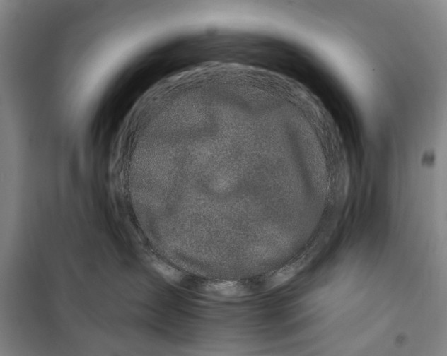 X0000099420431200805301411