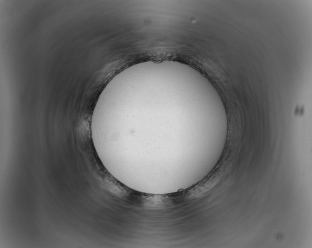 X0000099420432200805301411