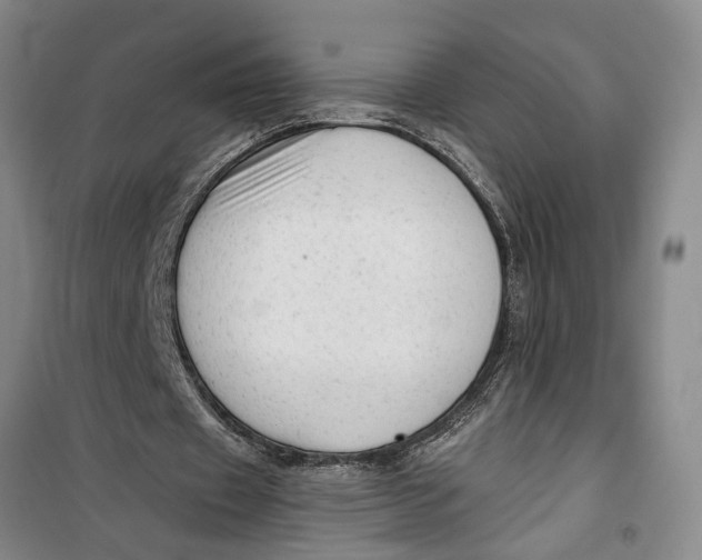 X0000099420433200805301410