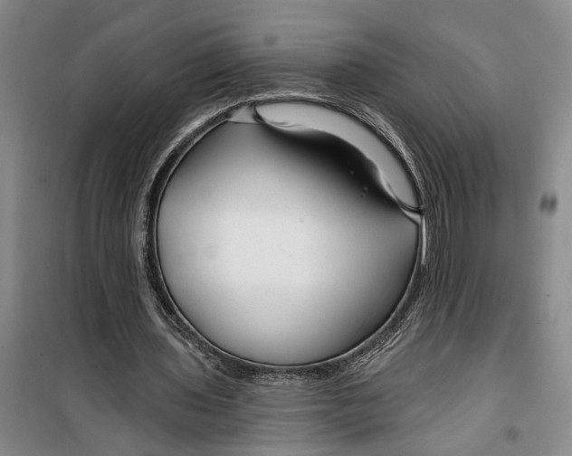 X0000099420435200805301410