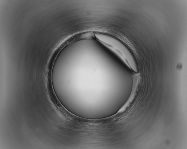 X0000099420436200805301410