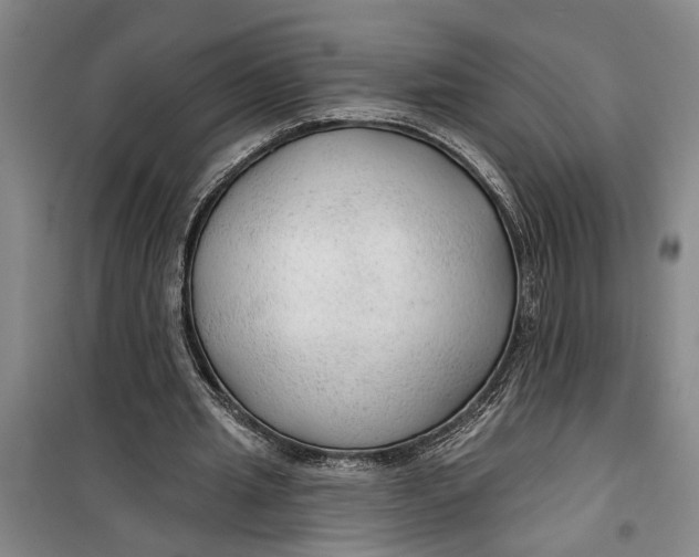 X0000099420437200805301410