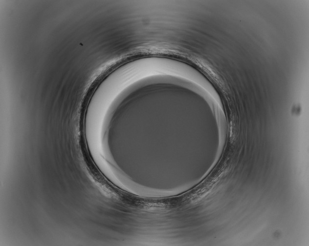 X0000099420438200805301411