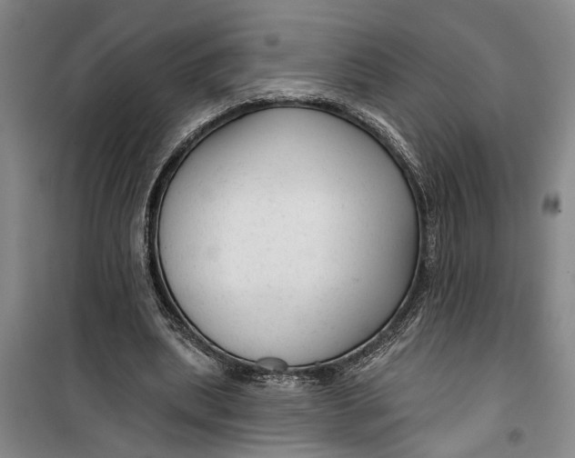 X0000099420439200805301411