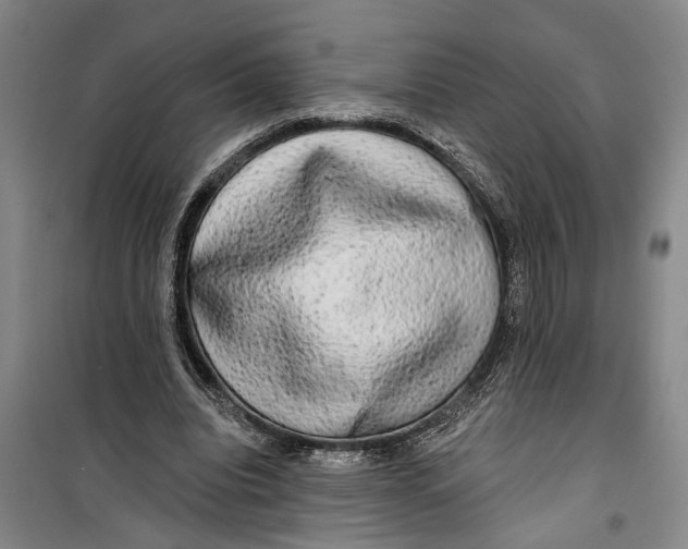 X0000099420440200805301411