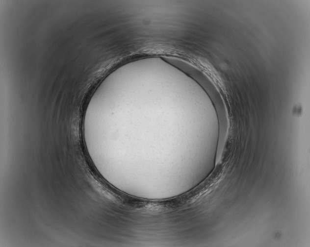 X0000099420441200805301411