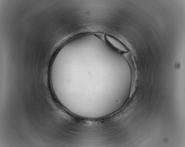 X0000099420442200805301411