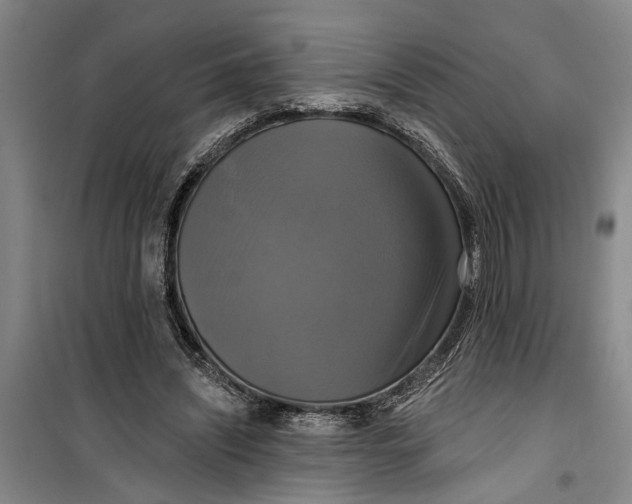 X0000099420444200805301411