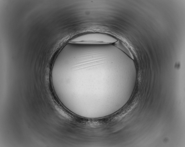 X0000099420445200805301411