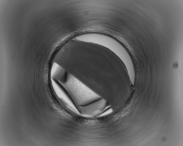 X0000099420446200805301411