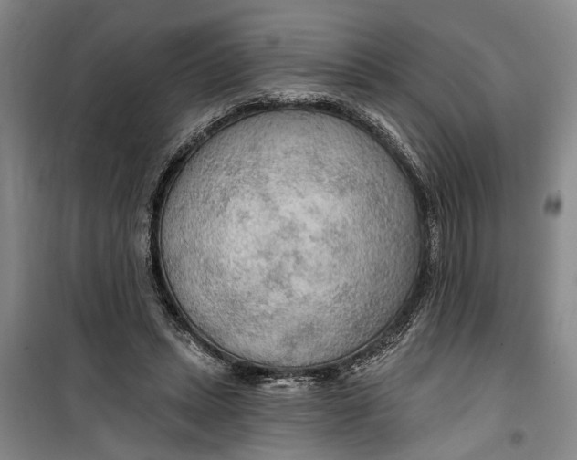 X0000099420447200805301411