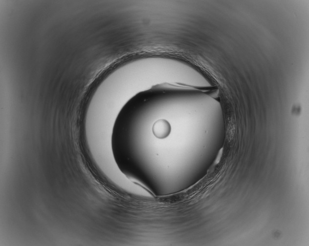 X0000099420448200805301411