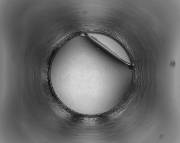 X0000099420450200805301411