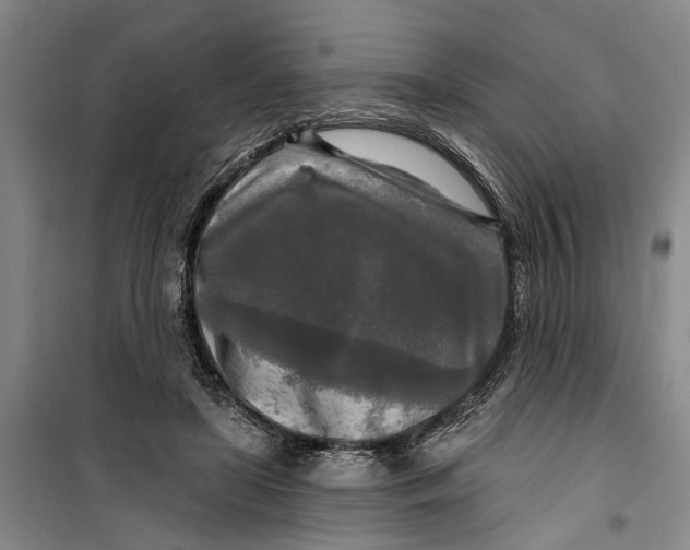 X0000099420451200805301411