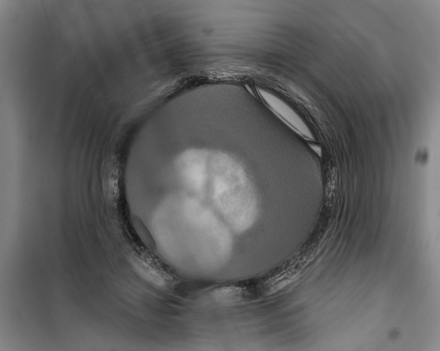 X0000099420452200805301411