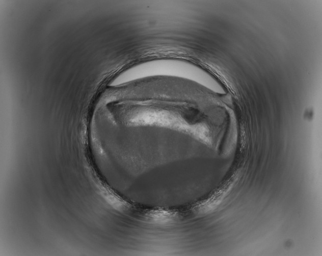 X0000099420453200805301411