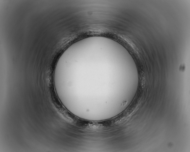 X0000099420455200805301411