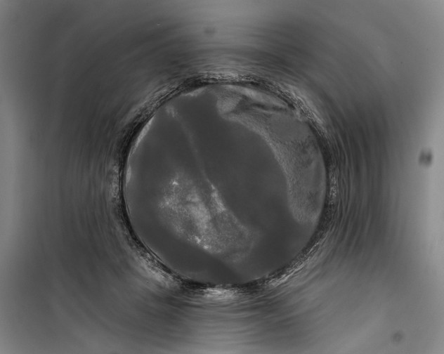 X0000099420457200805301411