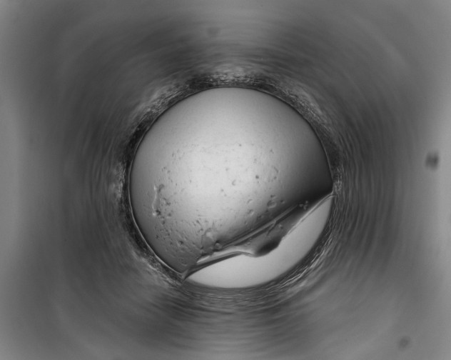 X0000099420458200805301411