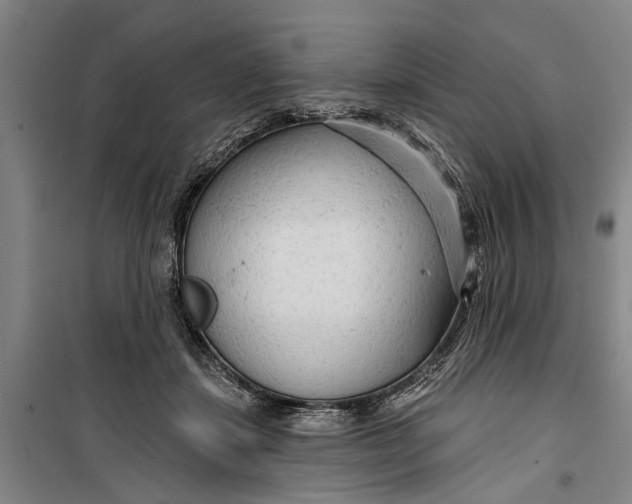 X0000099420459200805301411