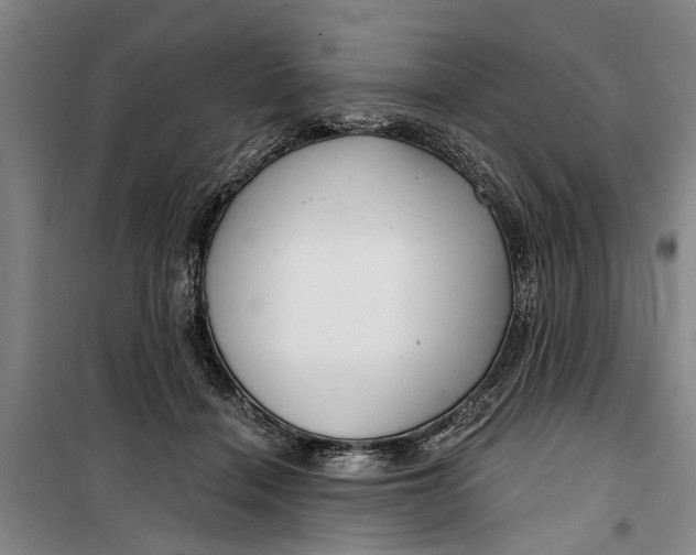 X0000099420460200805301411