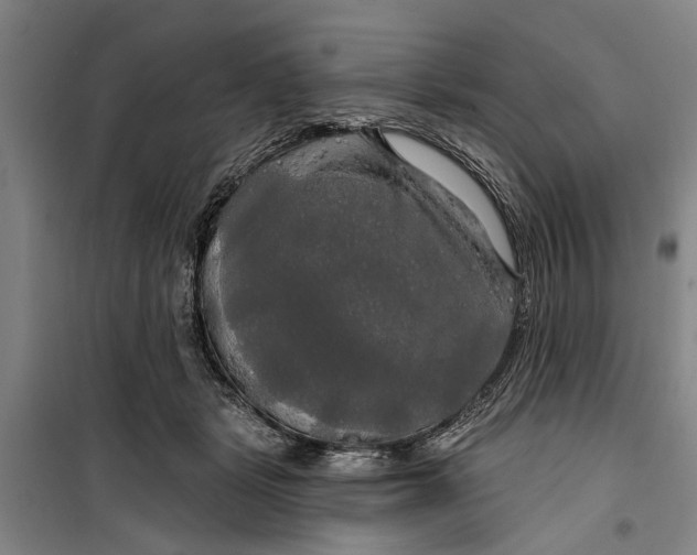 X0000099420461200805301411