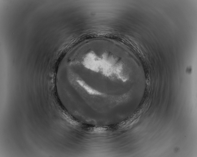 X0000099420462200805301411