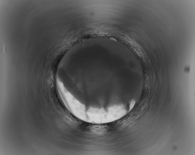 X0000099420465200805301411