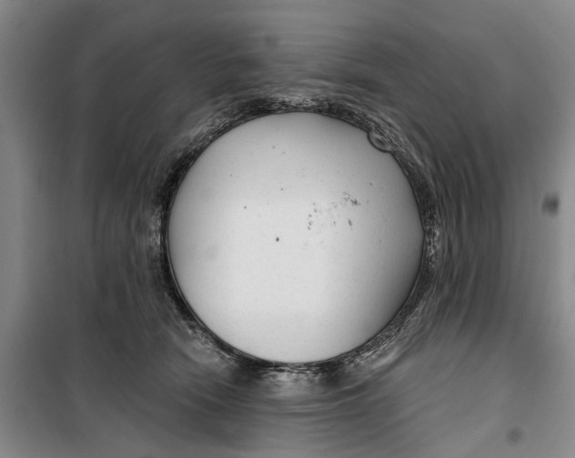 X0000099420466200805301411