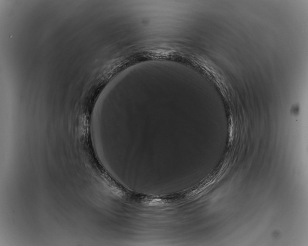 X0000099420467200805301411