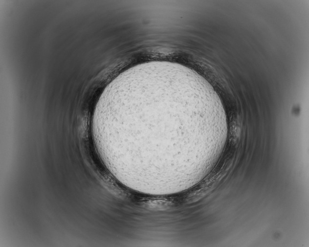 X0000099420468200805301411