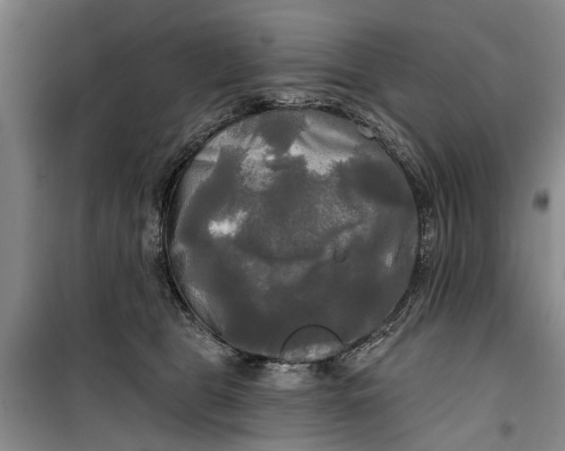 X0000099420469200805301411