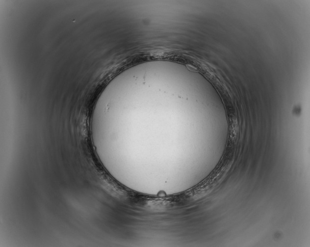 X0000099420470200805301411