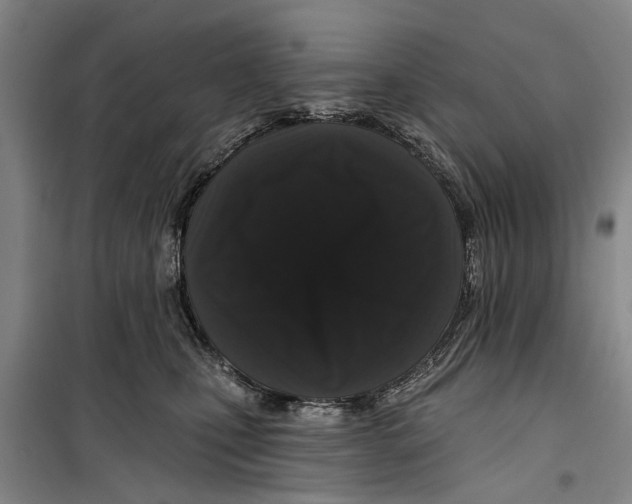 X0000099420471200805301411