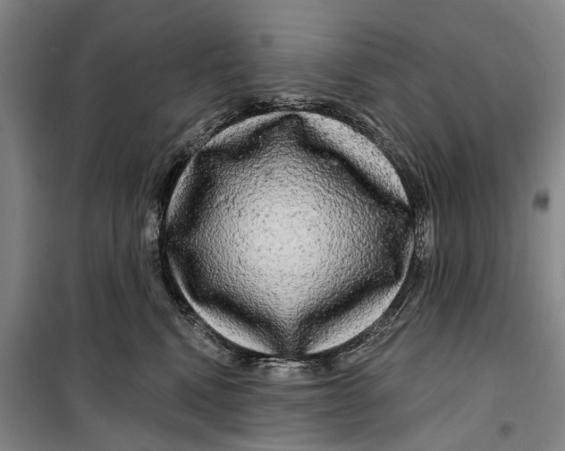 X0000099420472200805301411